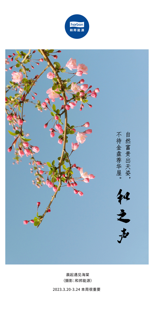 1680577238854280Xfna.jpg 74-和之声(本周很主要)2022.3季度推送用.jpg