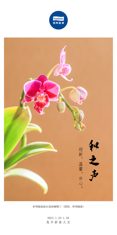1680578329519821QJKG.jpg 66-和之声(本周很主要)2022.1中文季度推用.jpg