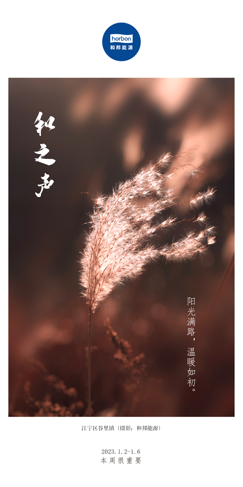 1680578374108429sWS4.jpg 63-和之声(本周很主要)2022.1.2-1中文季度用.jpg